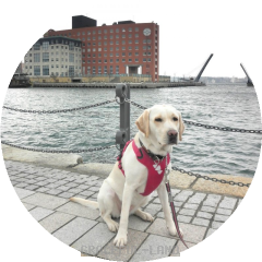 門司港レトロでのタミー